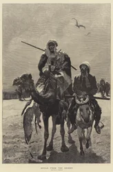 Spoils from the Desert